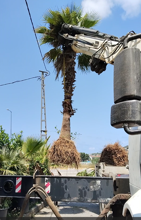 AĞAÇ İŞLERİ